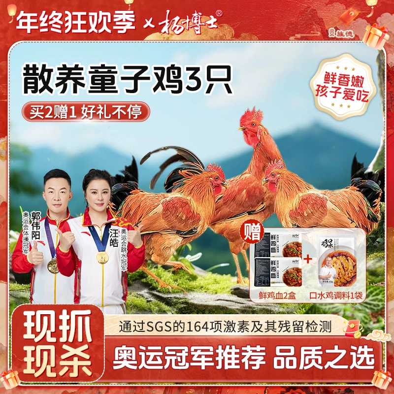 【食安放心】孩子爱吃杨博士土鸡散养童子鸡新鲜现杀 包冰率不含冰