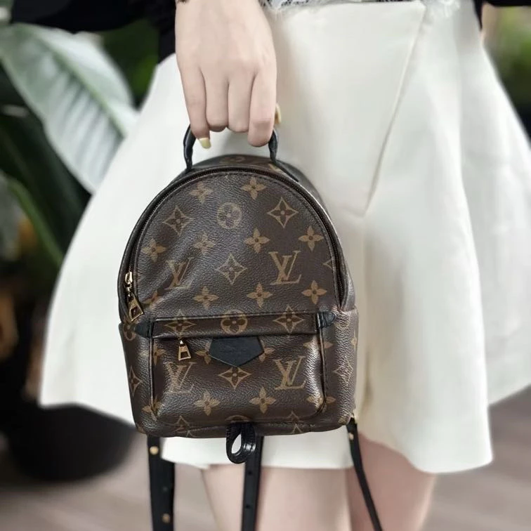 95新 LouisVuitton/路易威登 老花mini双肩包/2405