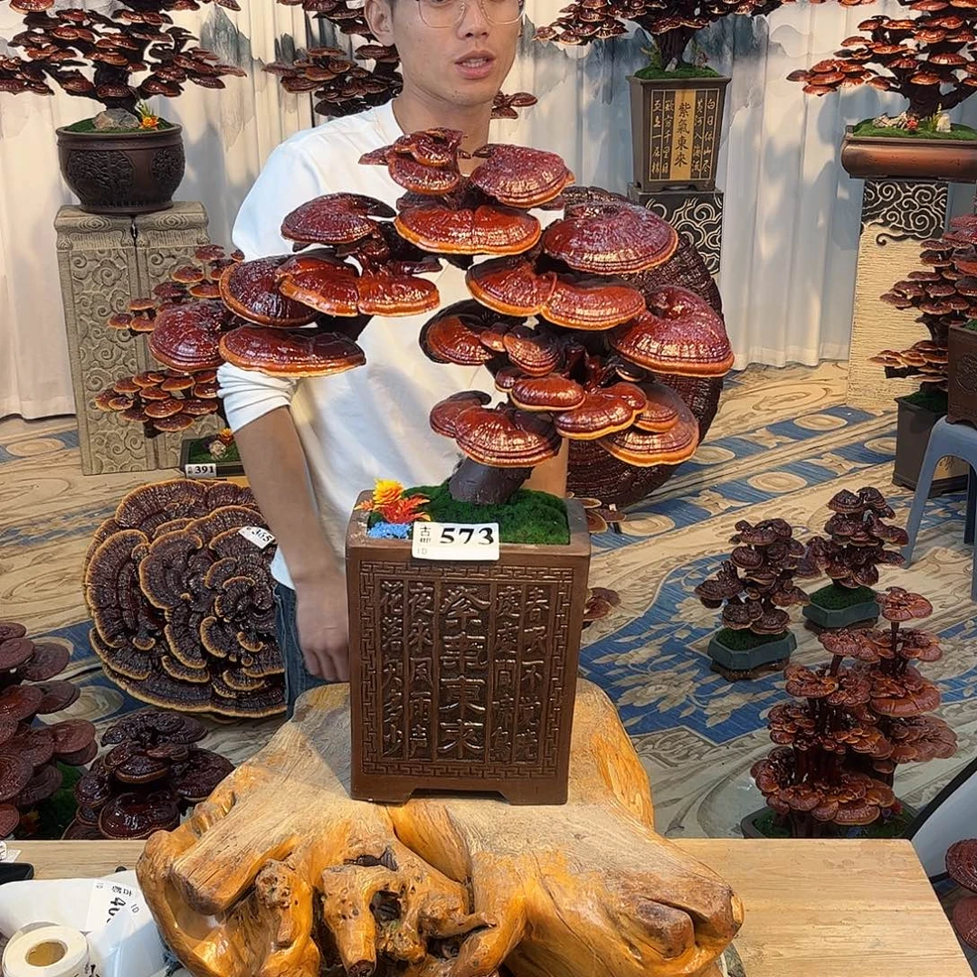 无花朵8888888888
