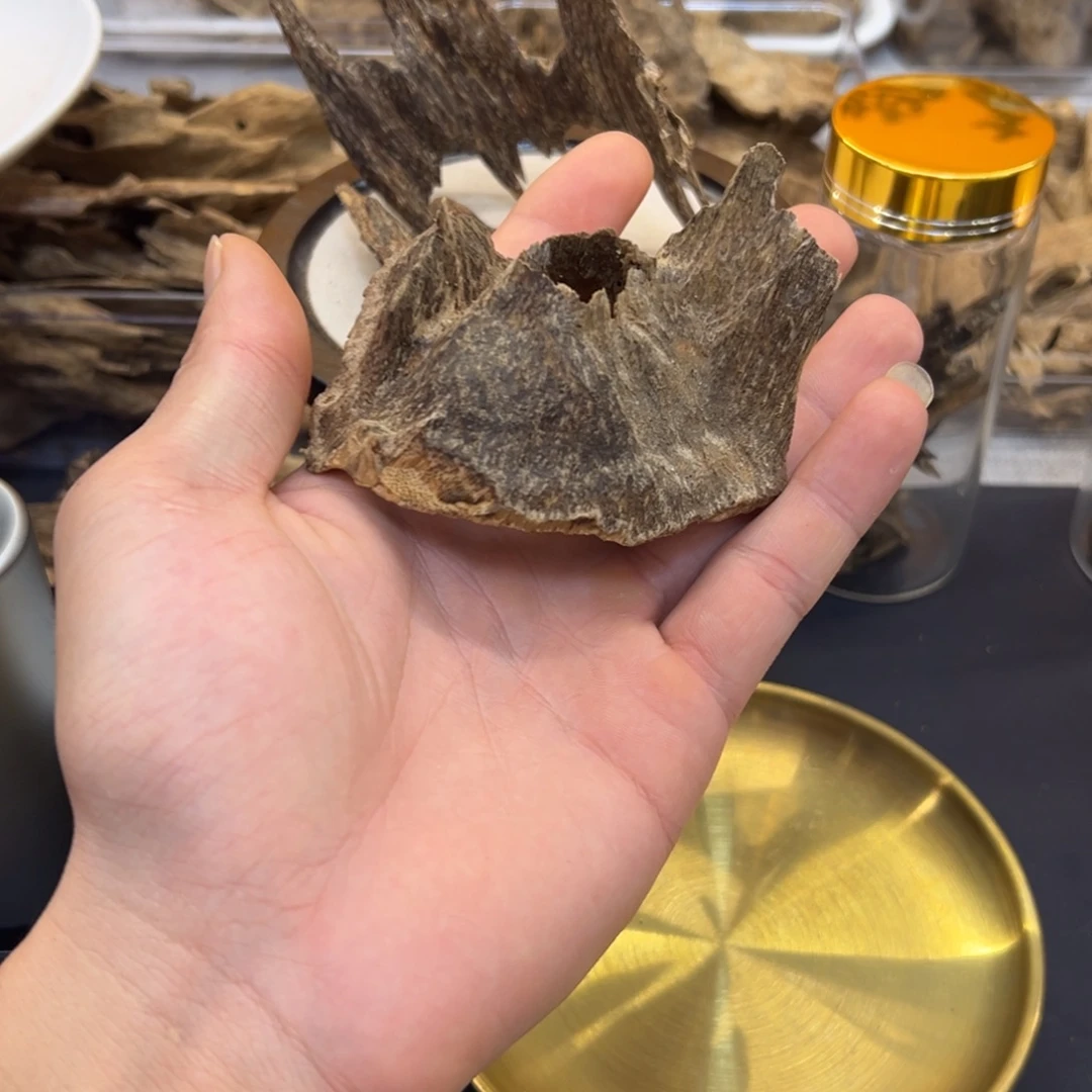 海南天然壳子料11.2g
