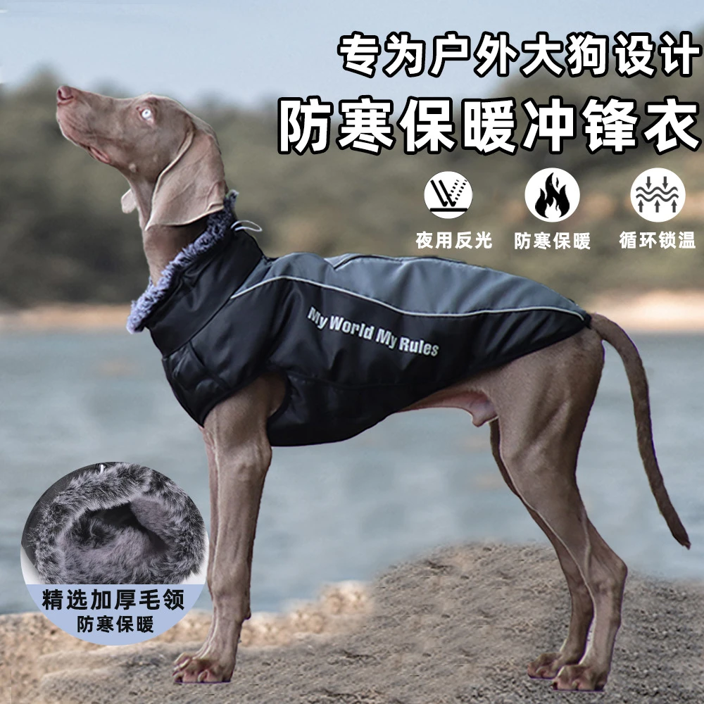 狗狗衣服秋冬装中大型犬柯基金毛拉布拉多冬季保暖加厚棉衣冲锋衣
