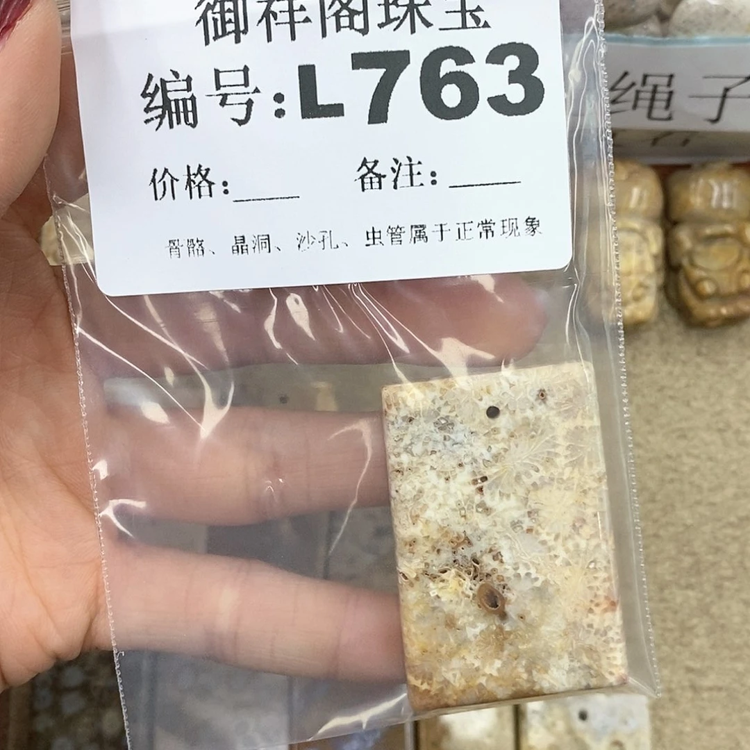 硅化珊瑚（珊瑚玉）L未镶嵌?****喵