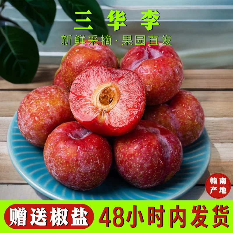 李子5斤三华李特大果现摘酸脆红肉赣南产地应季青脆李整箱包邮3斤