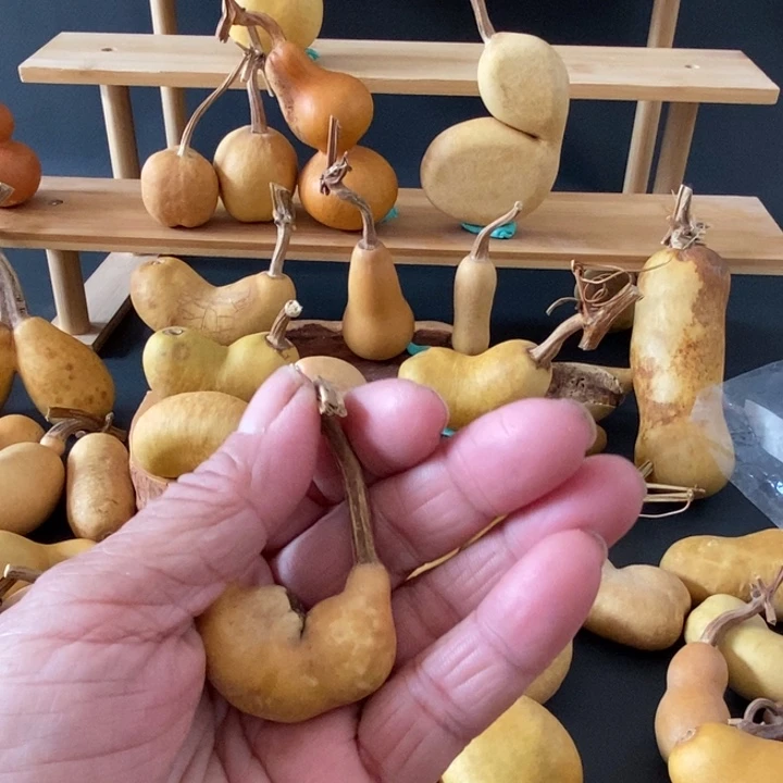 m***5想你nxkdmdmcxd