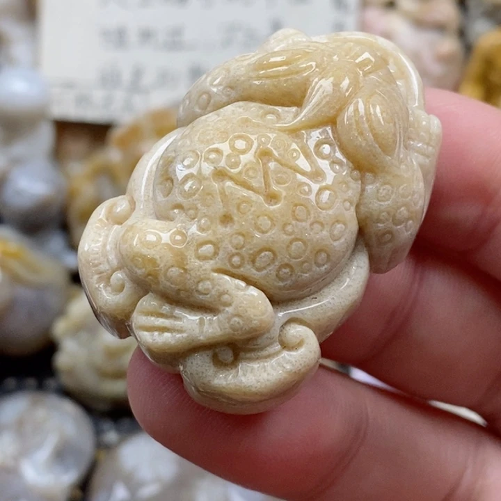 颈饰未镶嵌硅化珊瑚（珊瑚玉）用****1