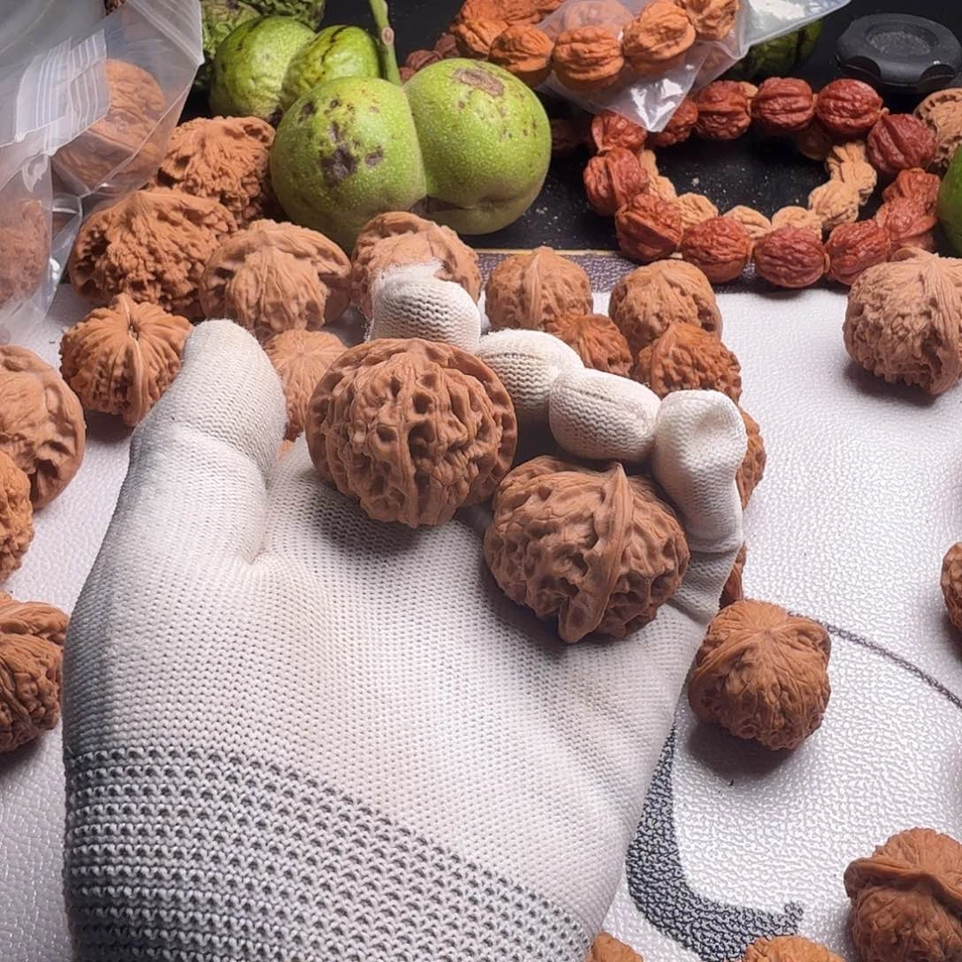 S***云把件文玩核桃苹果园