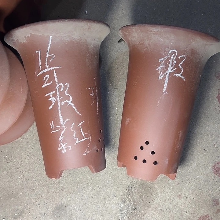 周深周深周深周深周深