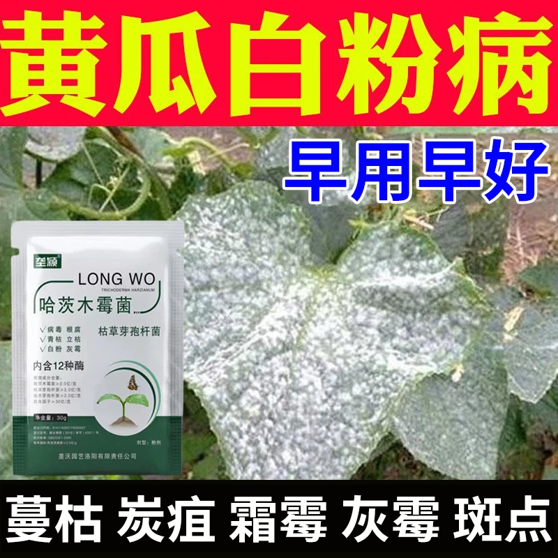 黄瓜白粉病专用肥料防霜霉病灰霉病微生物菌剂哈茨木霉菌快速脱粉
