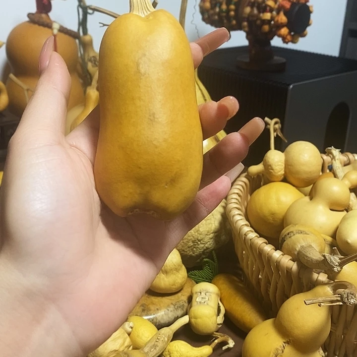 葫芦娃兄弟姐妹们一起来