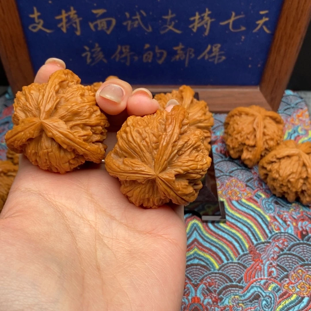 【闪购商品】奥**文白狮
