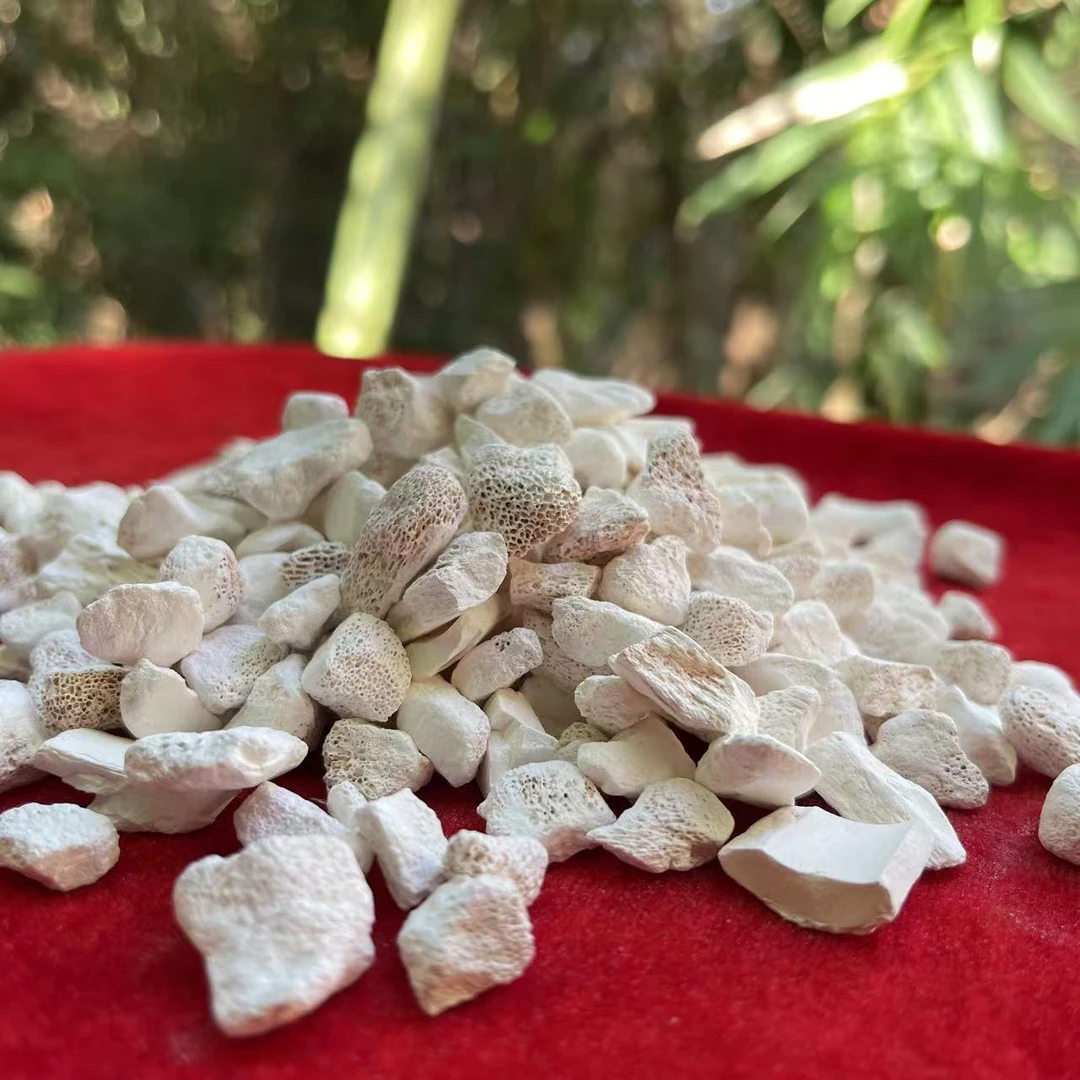 １【龙-骨】净含量50g-500g【阿忠现收现卖】