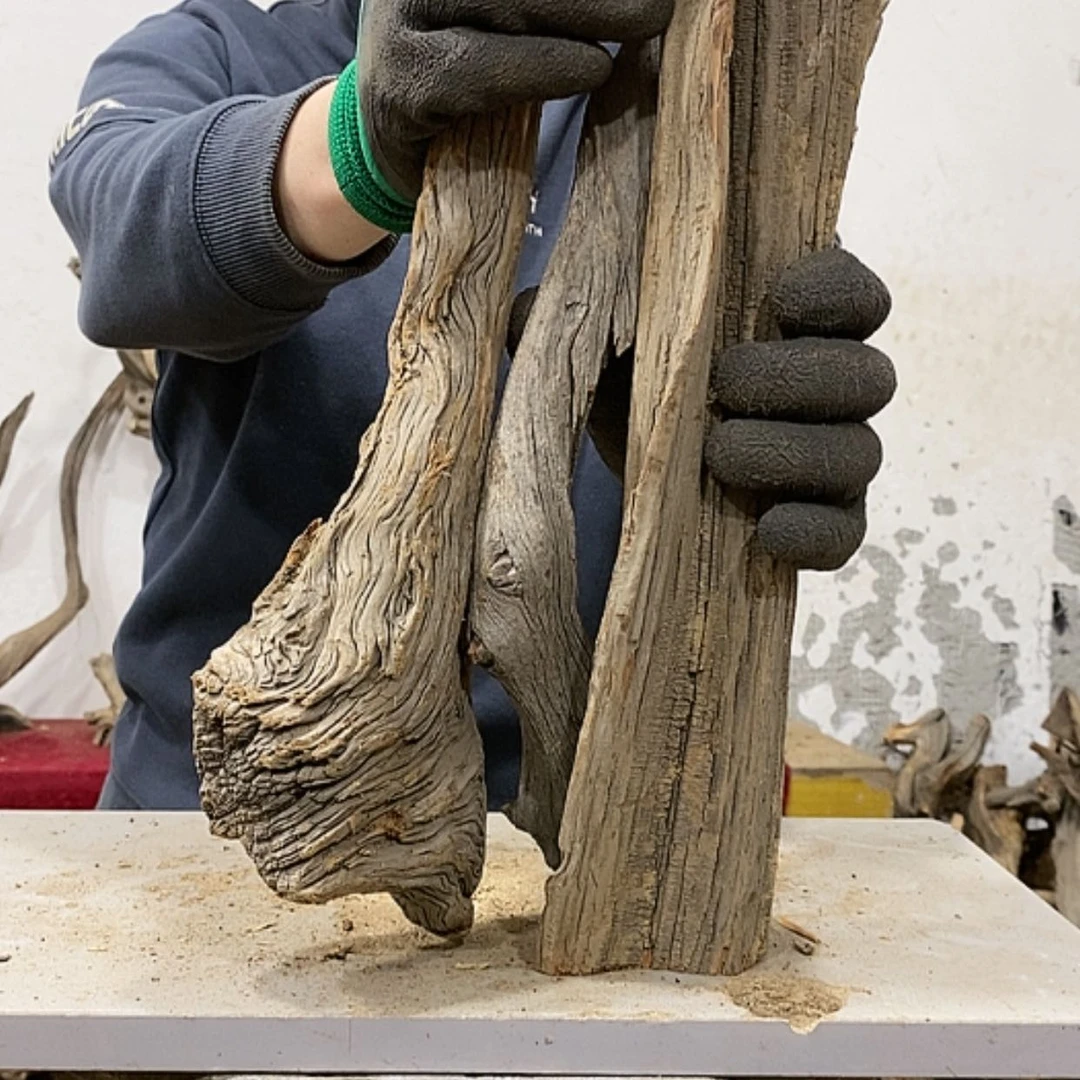 【闪购商品】柏木展****）我们都是好孩子