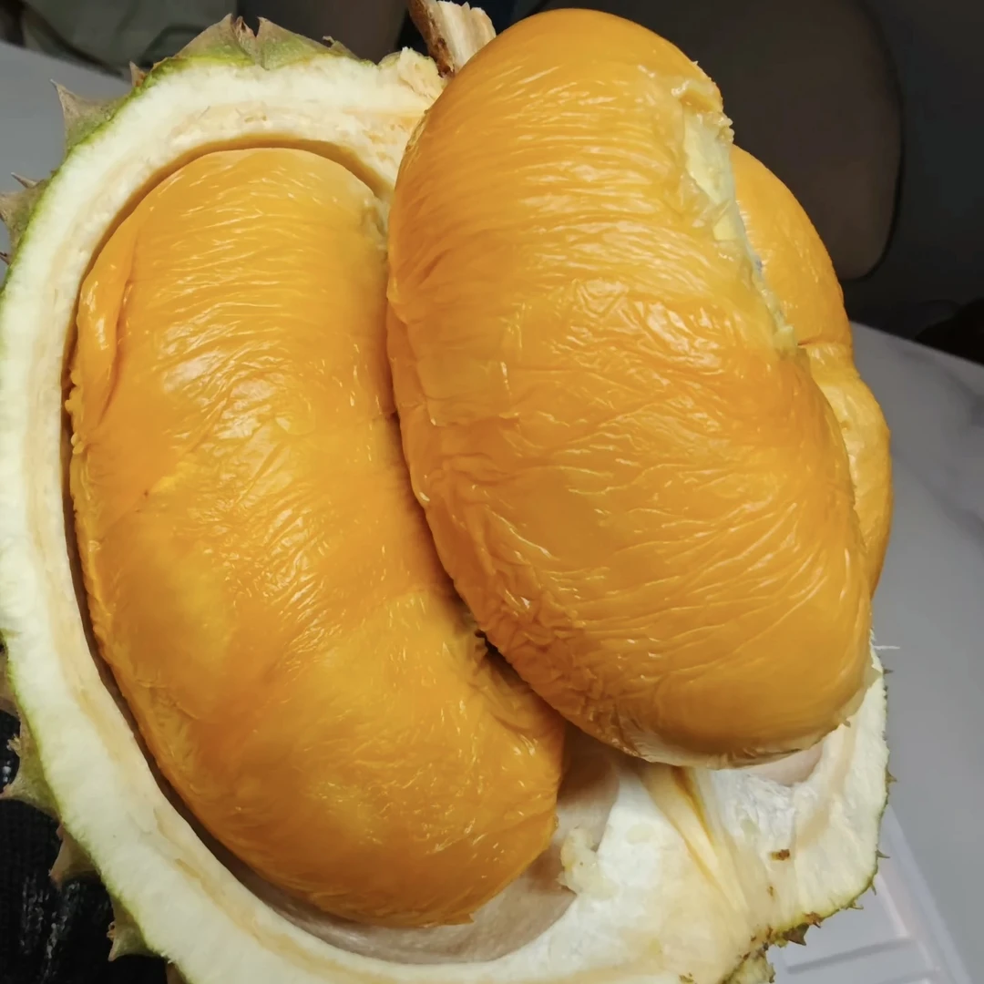 【空运树熟鲜果黑刺】树上熟空运鲜果榴莲4斤左右新鲜榴莲核大榴莲小时达黑刺马来西亚