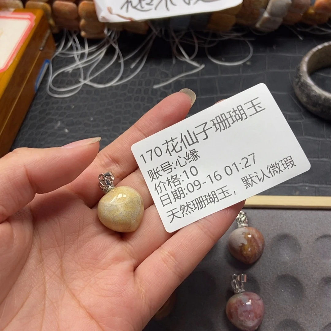 心***缘未镶嵌硅化珊瑚（珊瑚玉）珠宝半成品170