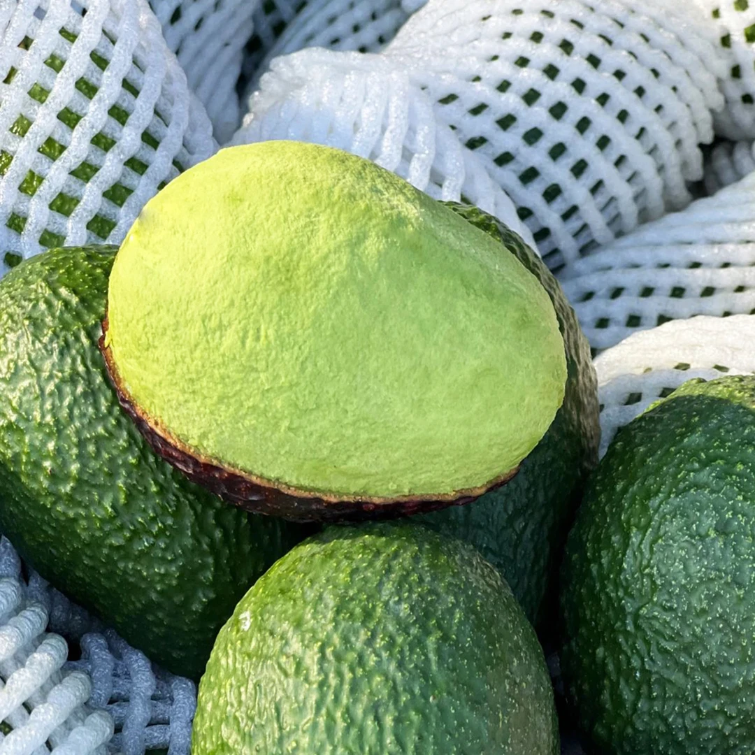 新鲜哈斯牛油果当季水果健康营养好吃