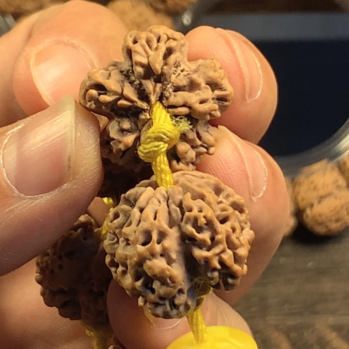 金刚菩提手串龙骨节节高升