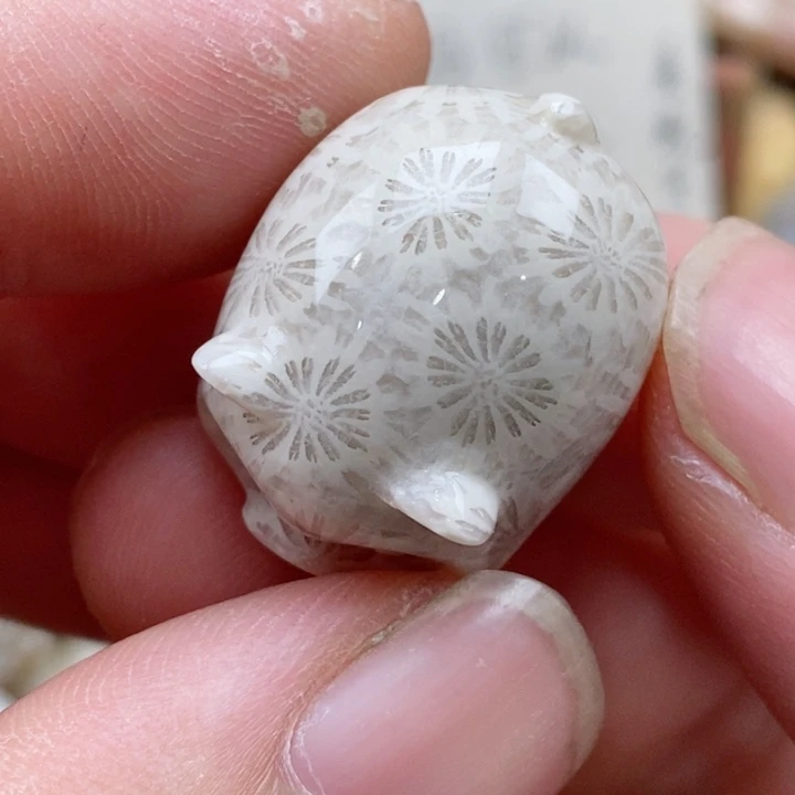 硅化珊瑚（珊瑚玉）未镶嵌颈饰