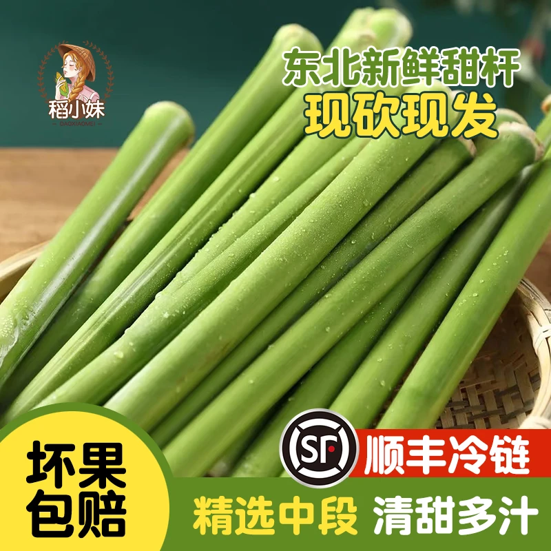 顺丰冷链东北新鲜甜杆现砍现发中段甜芦粟甜杆甜高粱杆3斤