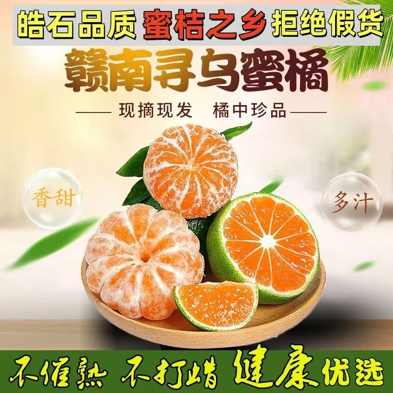 正宗江西赣南寻乌蜜桔新鲜孕妇水果产地现摘现发产品直发保鲜