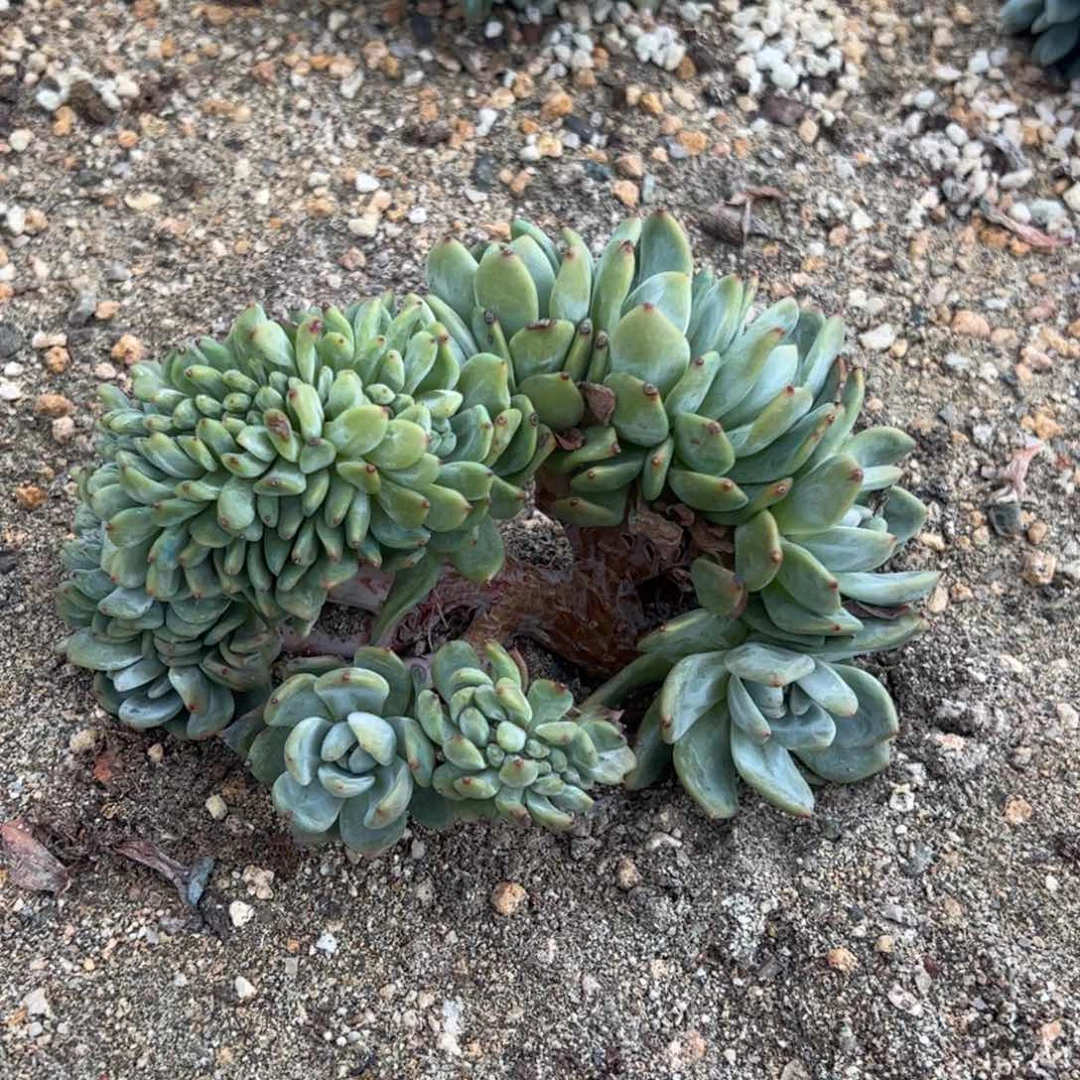 我是你身边最爱吃东西