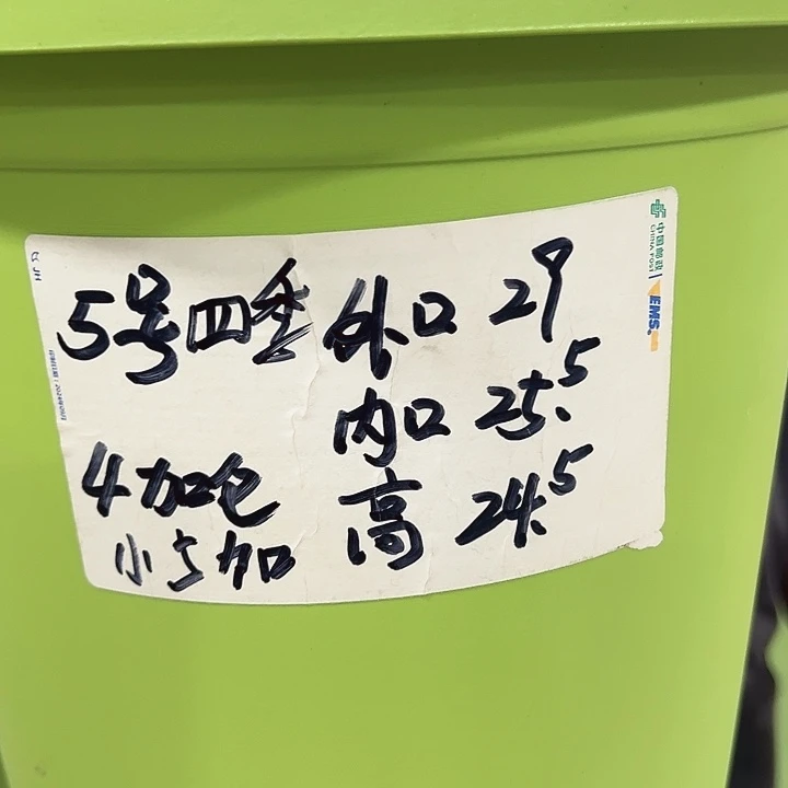 特价5号四季口29高24混色6个带托