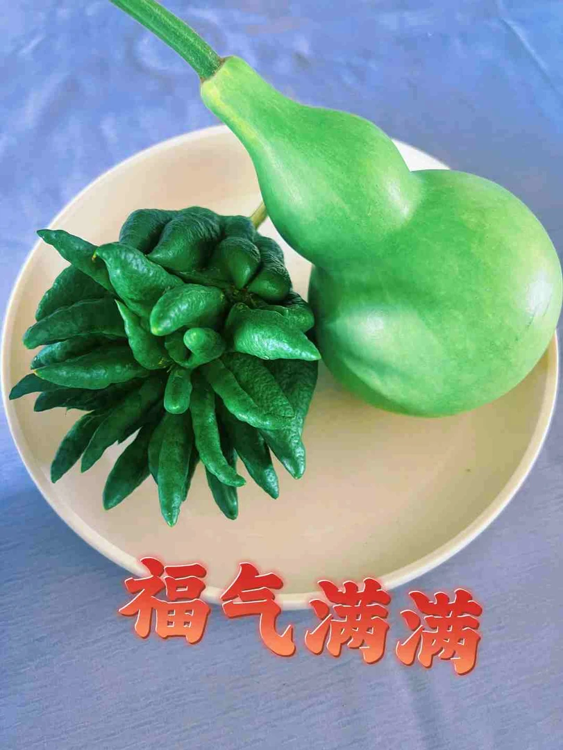 超级福袋葫芦一颗