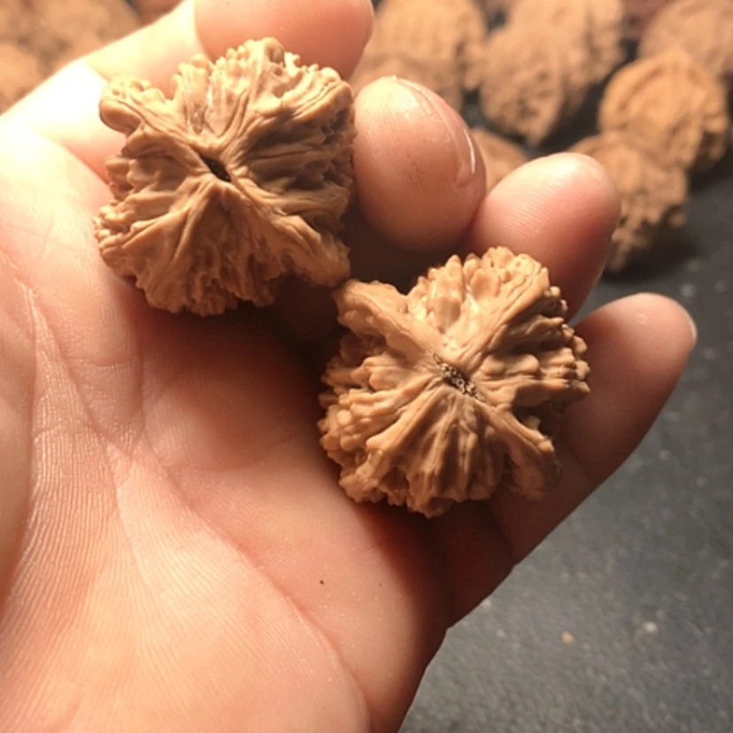 【闪购商品】茶*虎头