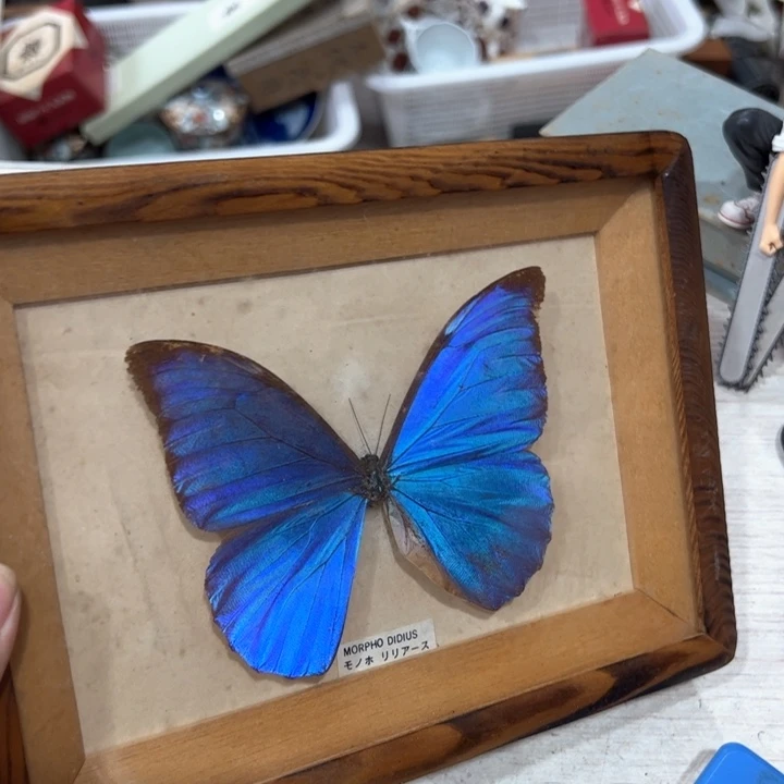 瓷***子新亿阁杂项无售后