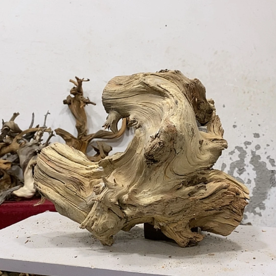 【闪购商品】柏木龙****艺我们都是好孩子