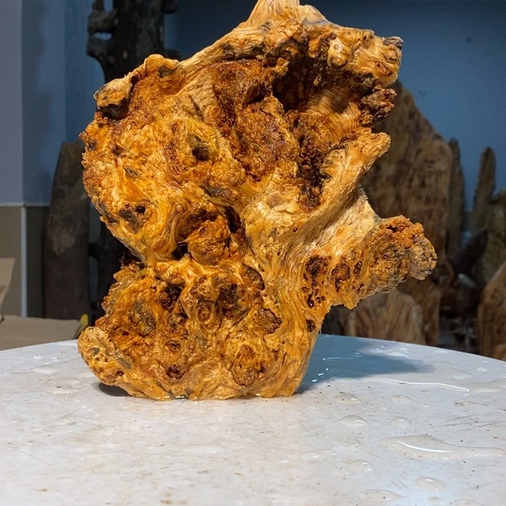 百**兰我们都是你的粉丝5