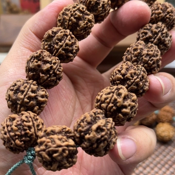 金刚菩提手串20梁梅花双龙原生态老籽