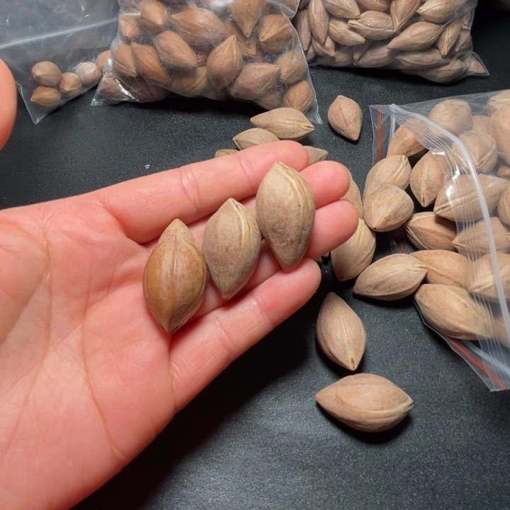 呜***～手串/手链猪牙我是