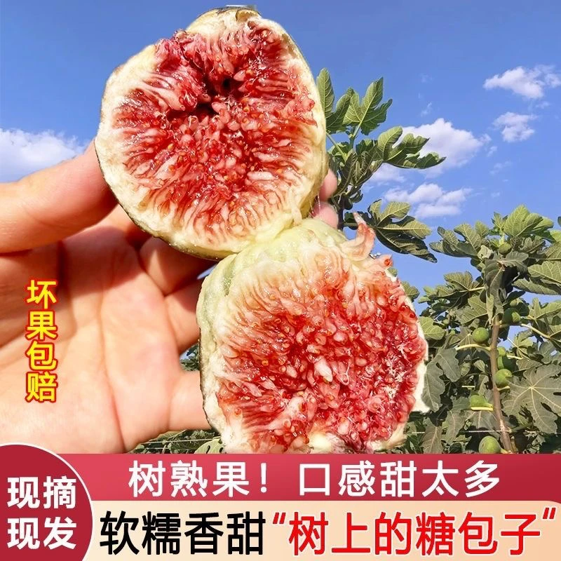 四川成都红皮无花果波姬红新鲜采摘发货1.5斤3斤装