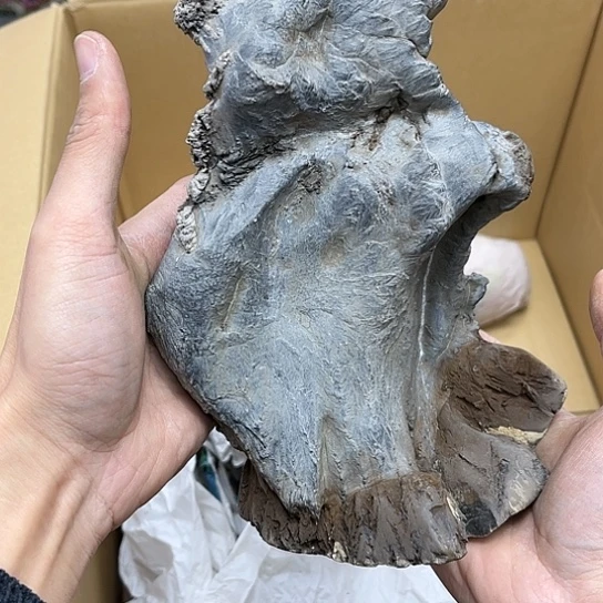 瓷片A***哥摆件工艺品瓷器摆件777