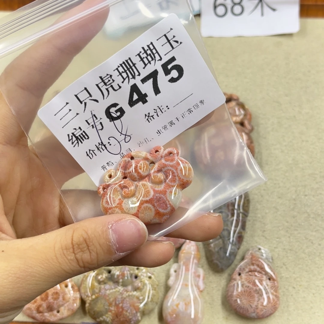 学***硅化珊瑚（珊瑚玉）未镶嵌h