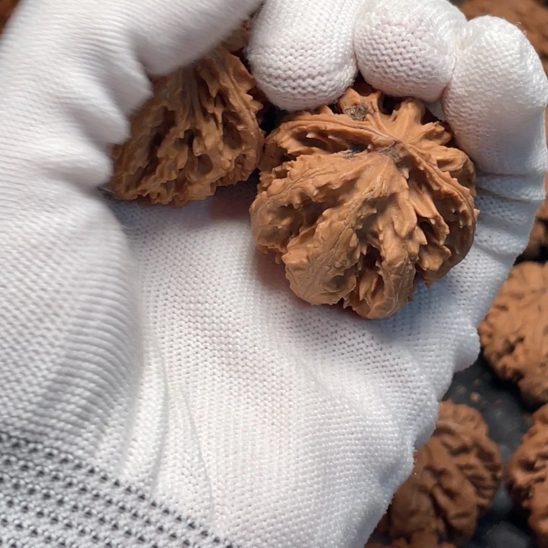 桃核吊坠3 秦岭灯笼野生小众