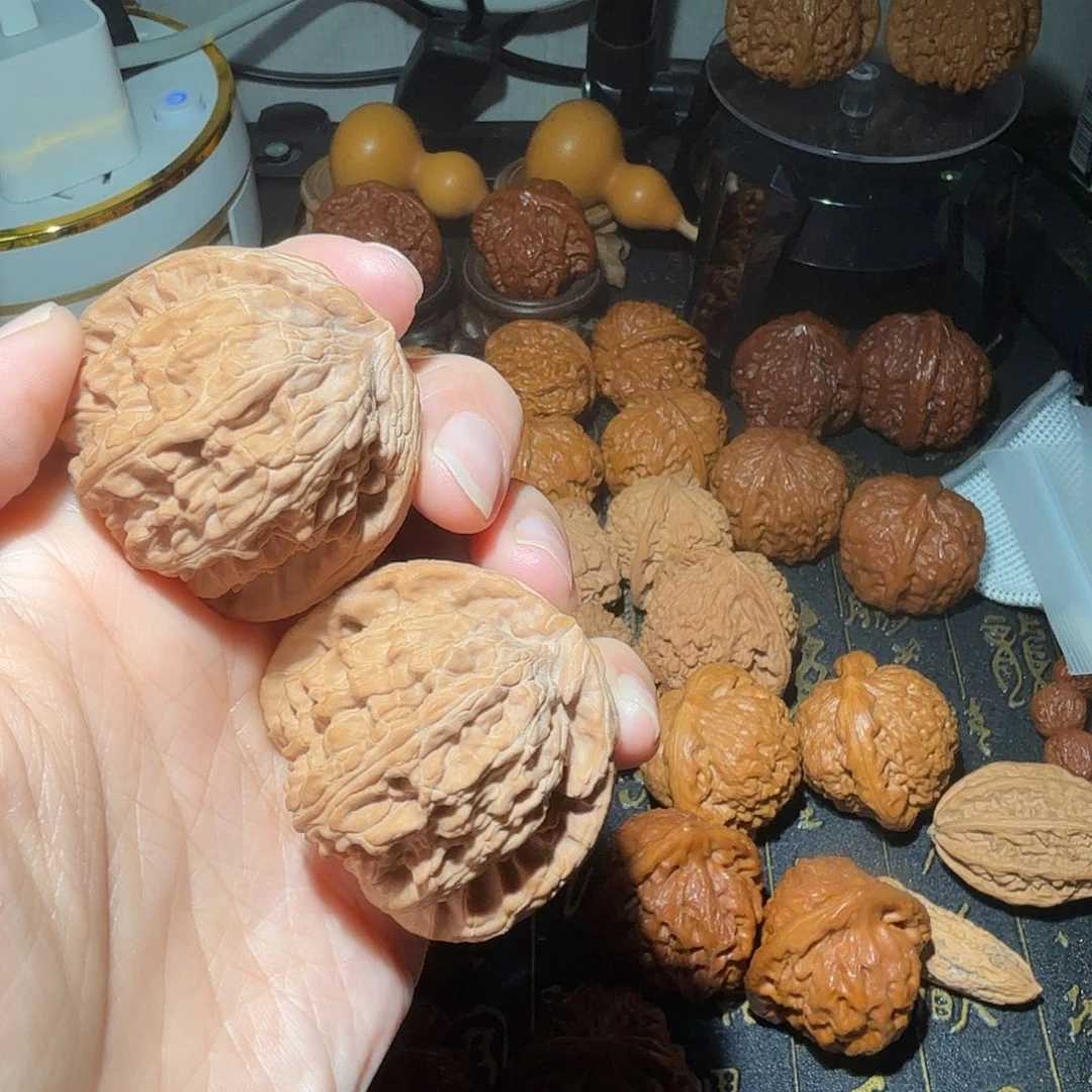 核桃燕山山地白狮子43