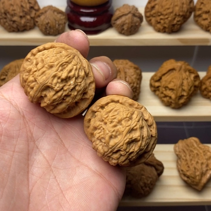 把件核桃40尺全品白狮子一物一图