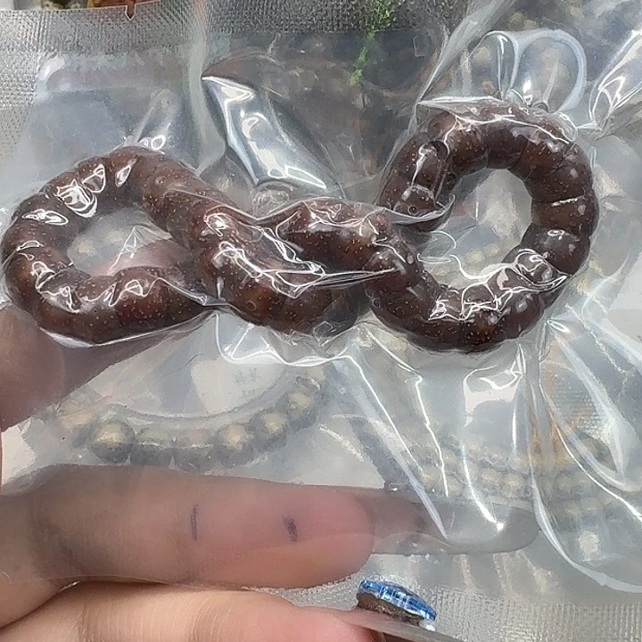 星月菩提手串113粉冰大肠98