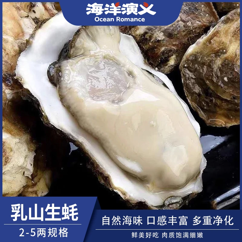 海洋演义 乳山生蚝 （2-5两/个）牡蛎 5斤