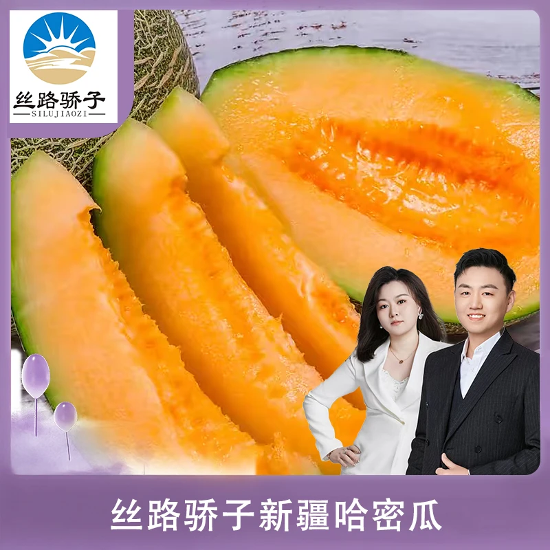 【顺丰陆运包邮】正宗新疆吐鲁番陆地火焰哈密瓜