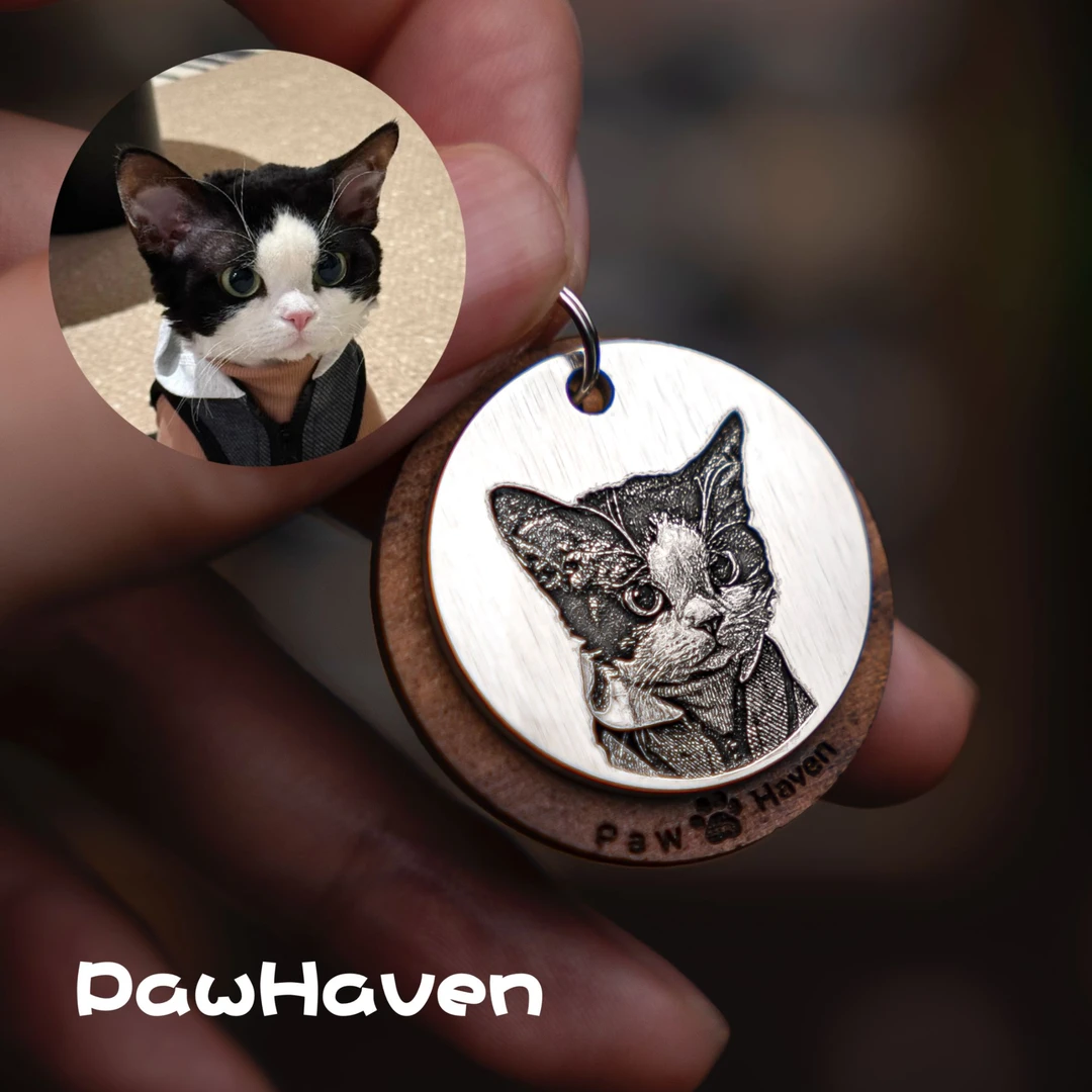 宠物定制胸牌猫狗防丢牌来图定制北美胡桃木高精度激光雕刻