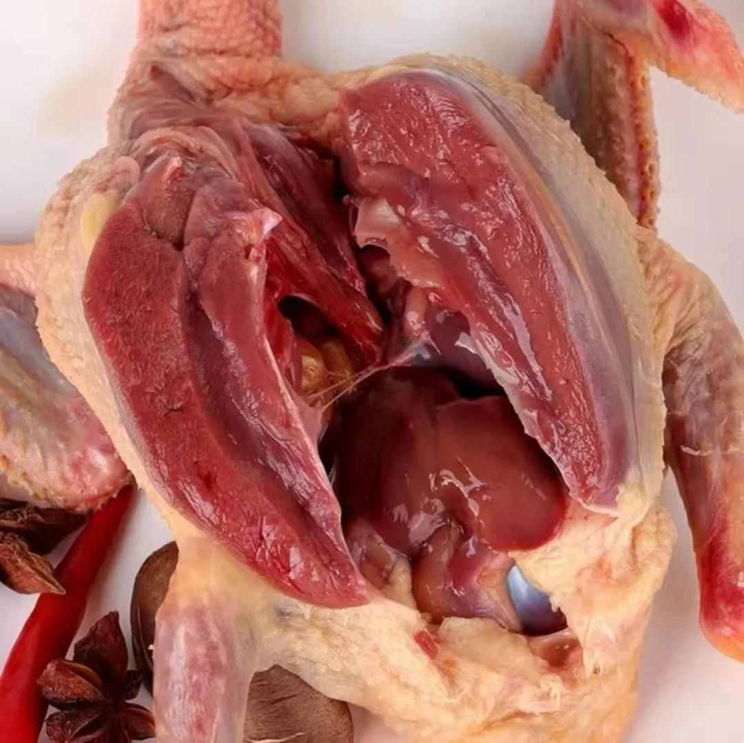 农家散养土鸽子新鲜速冻5只 顺丰发货 （王者专属）