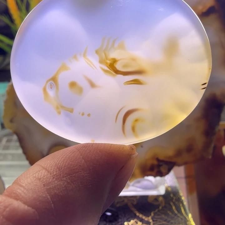 玛瑙/玉髓未镶嵌巴玉玛瑙象形