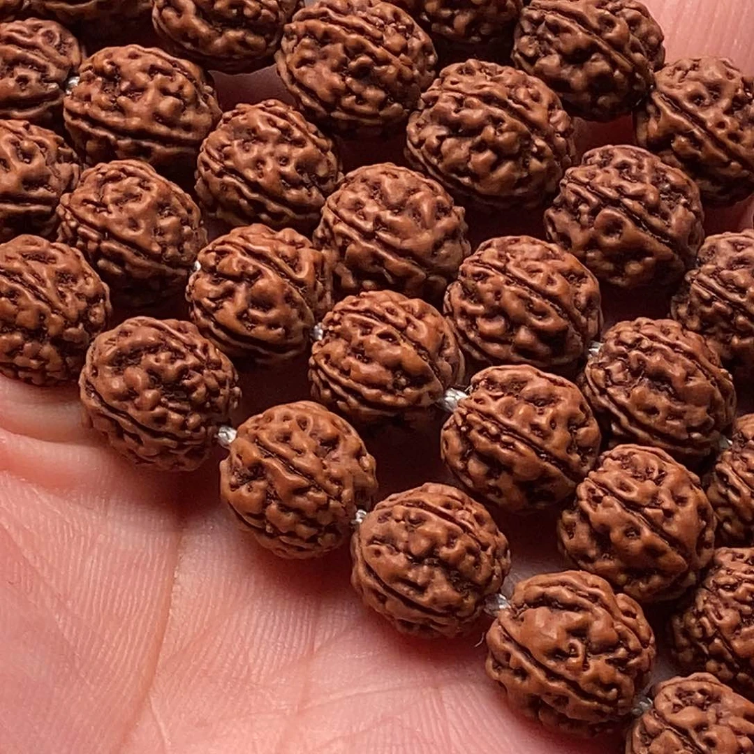 吊坠金刚菩提顺**为一代龙10