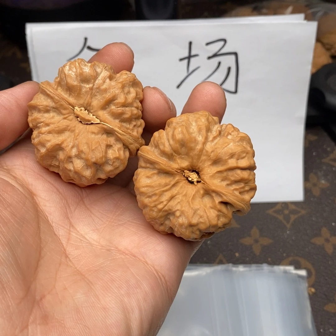 W369479749497074508850