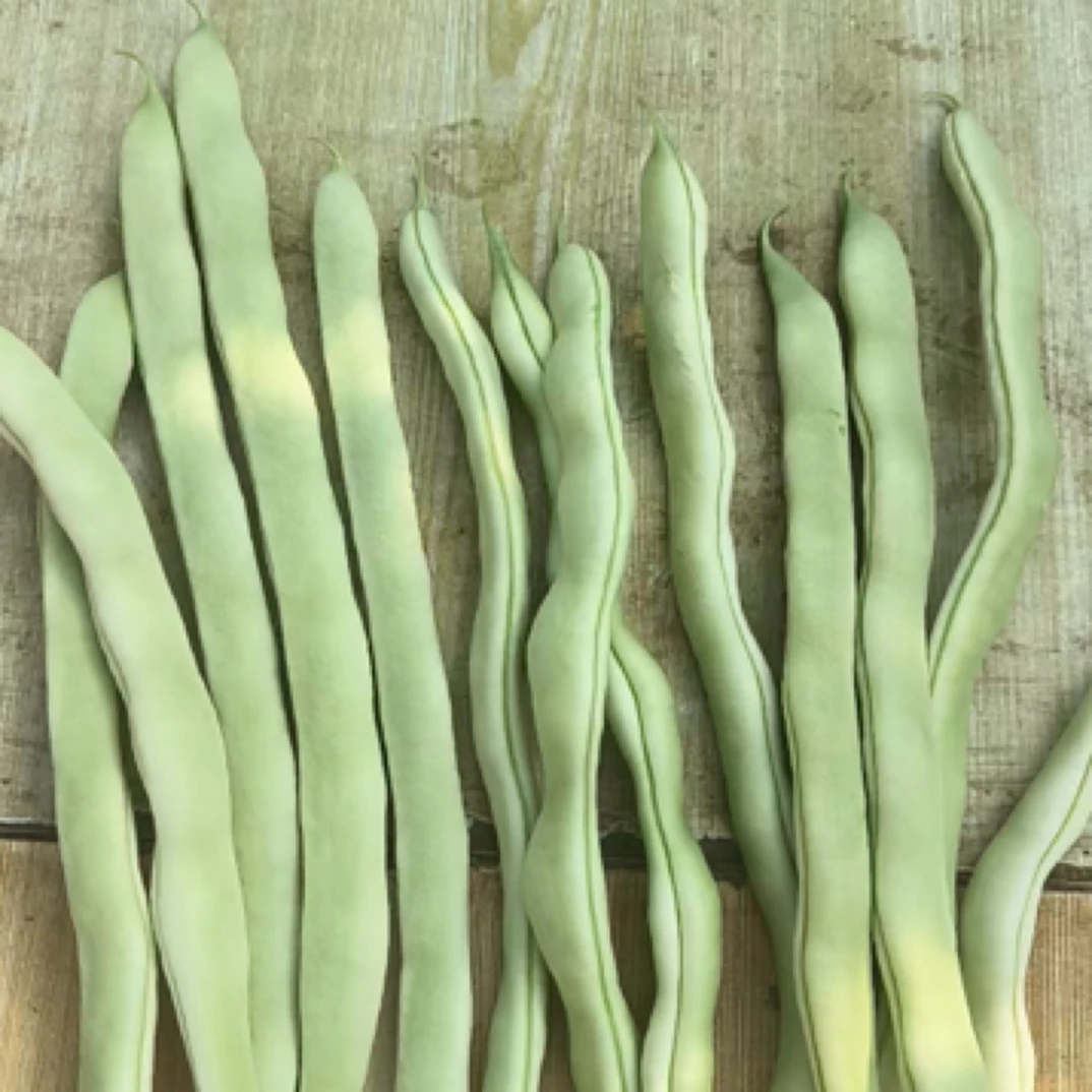 《罐哥家庭农场》白不老豆角3斤（±2两）绿色蔬菜