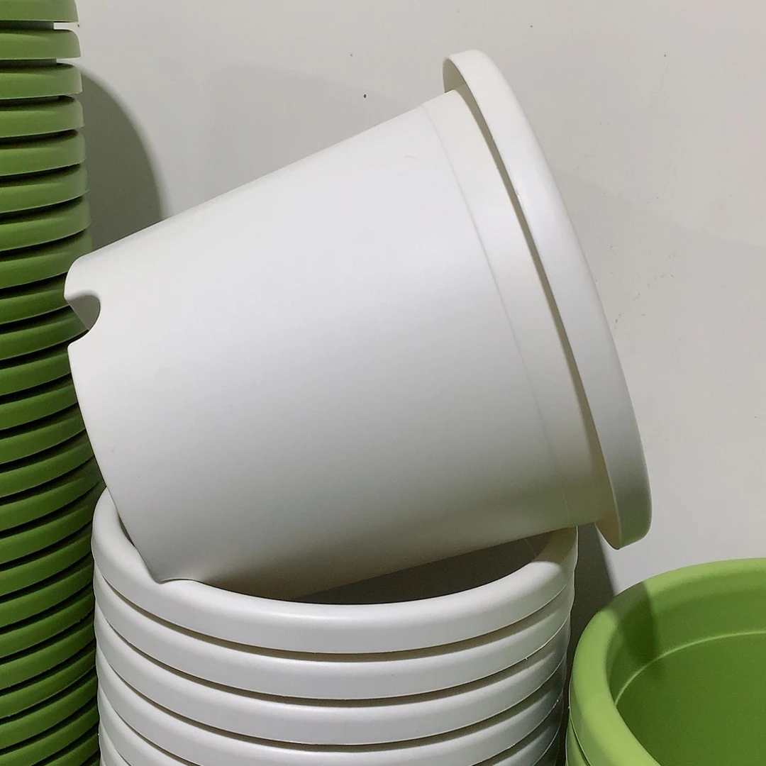 树脂四季口25白6个无托