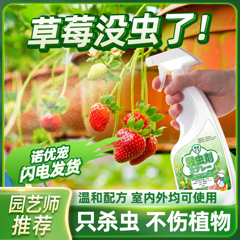 治草莓树腻虫专用药有蚂蚁土壤草苺杀虫剂叶子虫去虫药长虫子喷雾