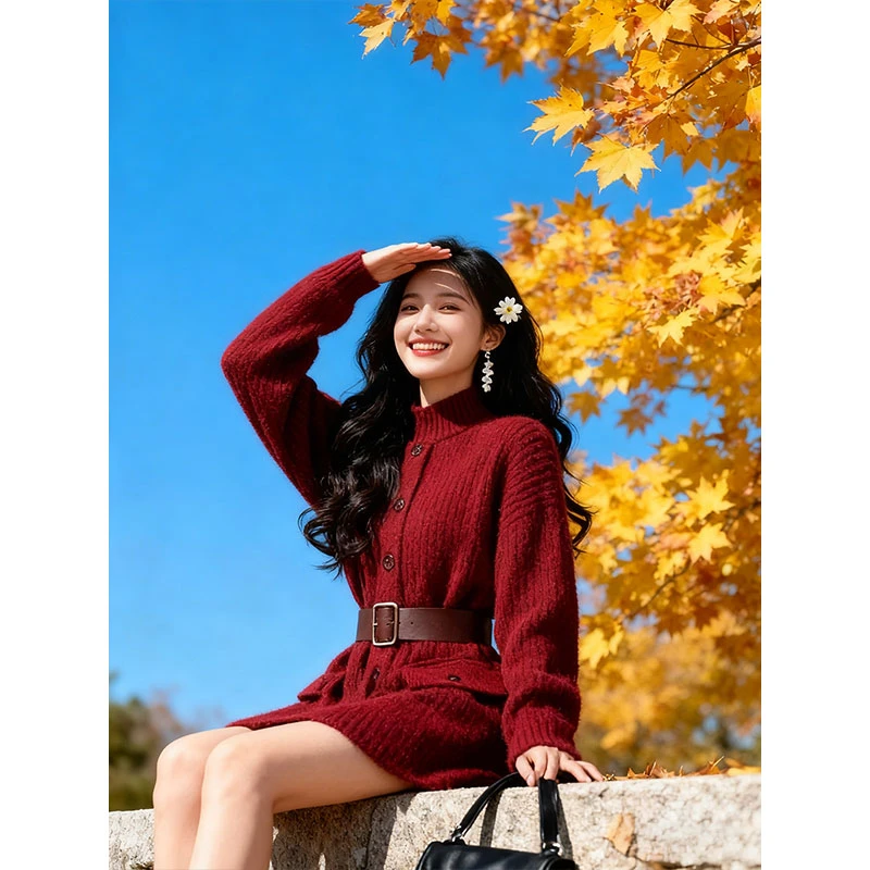 2026年美拉德风立领毛衣女冬季高智风小个子红色收腰腰带针织外套